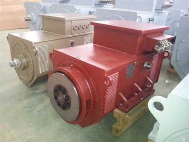 大型船用無刷發(fā)電機(jī)
