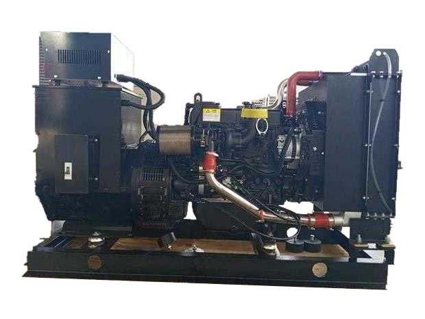 濰坊系列揚(yáng)柴發(fā)電機(jī)組的1